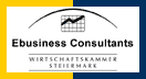 E-Business Consultant